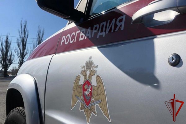 Более 20 правонарушителей на территории Вологодской области задержали сотрудники вневедомственной охраны Росгвардии за минувшую неделю