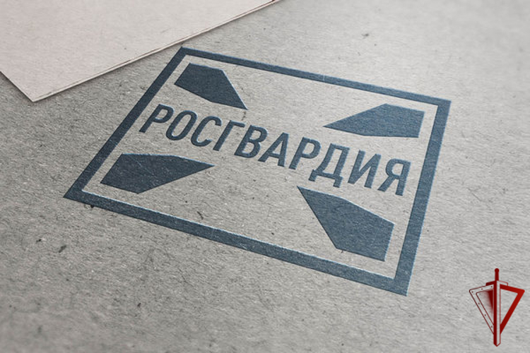 25 единиц оружия изъяли росгвардейцы за различные нарушения у жителей Вологодской области за минувшую неделю
