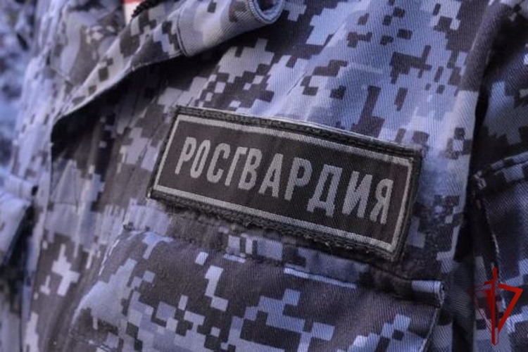 Росгвардейцы задержали двух череповчан, устроивших скандал в увеселительном заведении