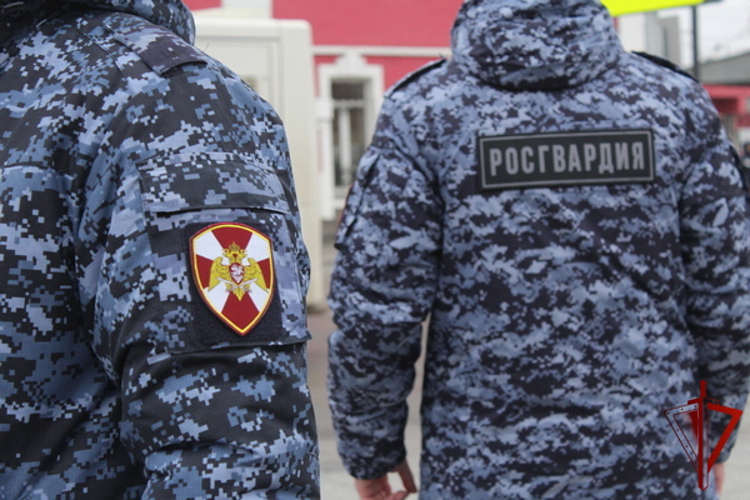 Более 20 правонарушителей на территории Вологодской области задержали сотрудники вневедомственной охраны Росгвардии за минувшую неделю