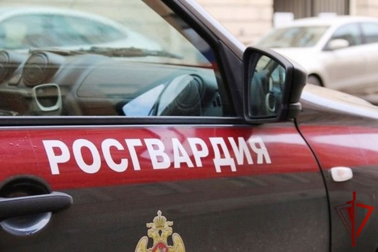 В Вологде росгвардейцы задержали нетрезвого посетителя кафе, ударившего охранника