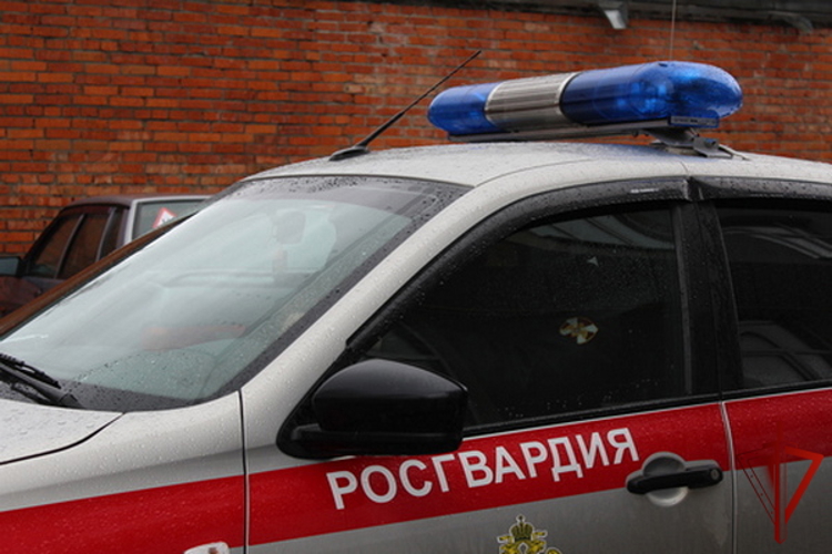 Сотрудники Росгвардии в Череповце пресекли попытку проникновения в охраняемое здание медучреждения